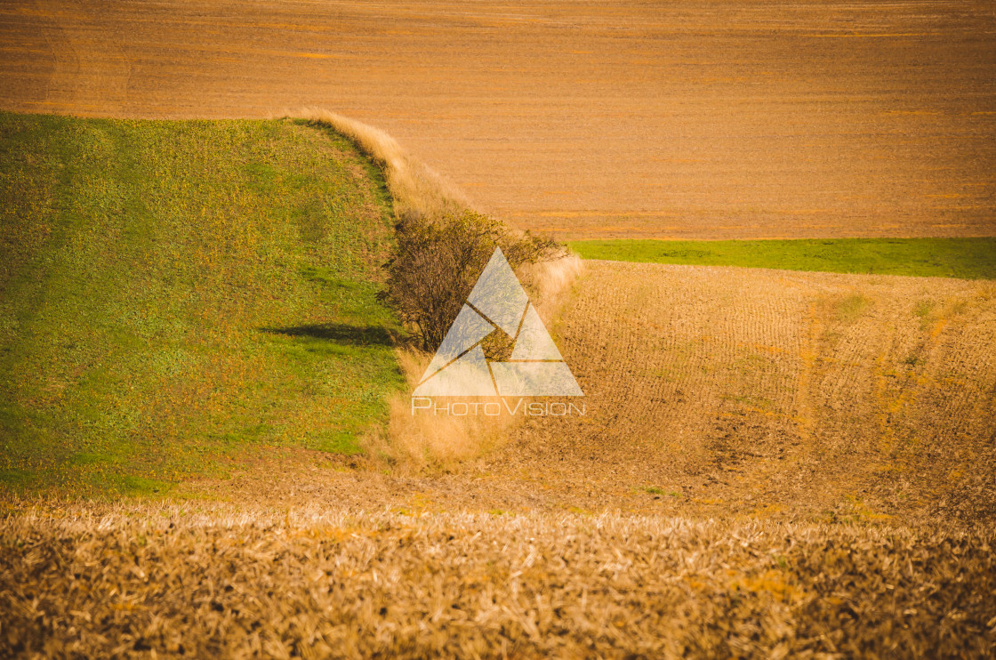 "Wavy autumn fields in Moravian Tuscany, Czech Republic" stock image