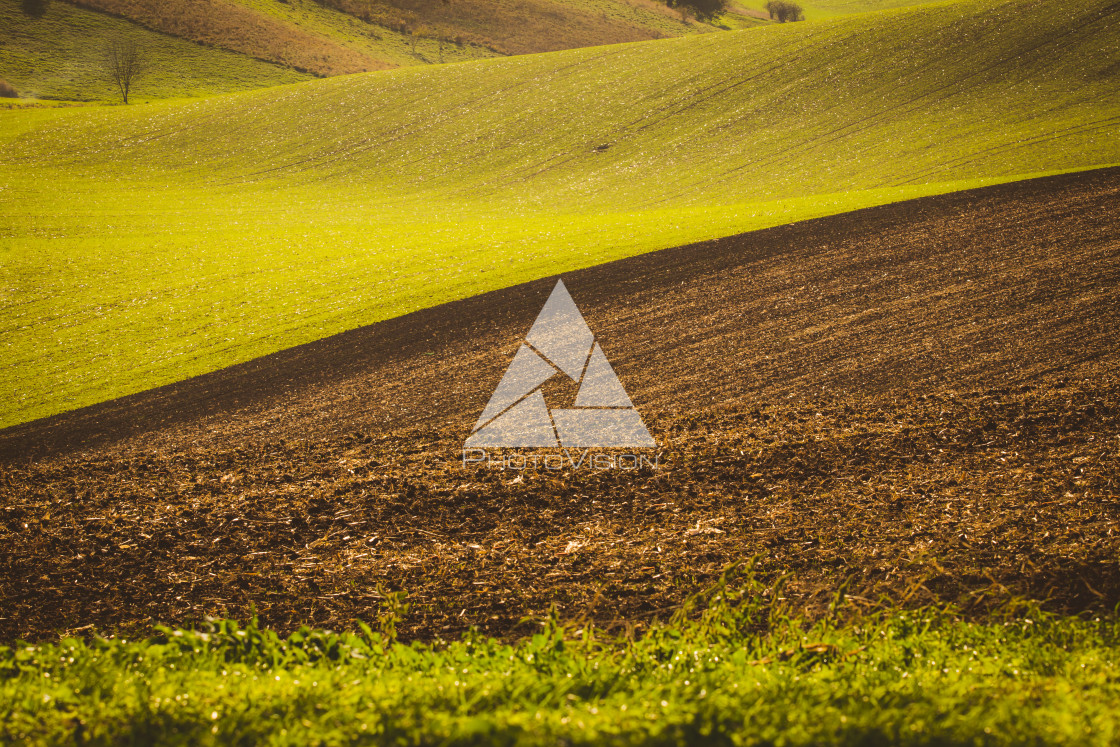 "Autumn wavy fields" stock image