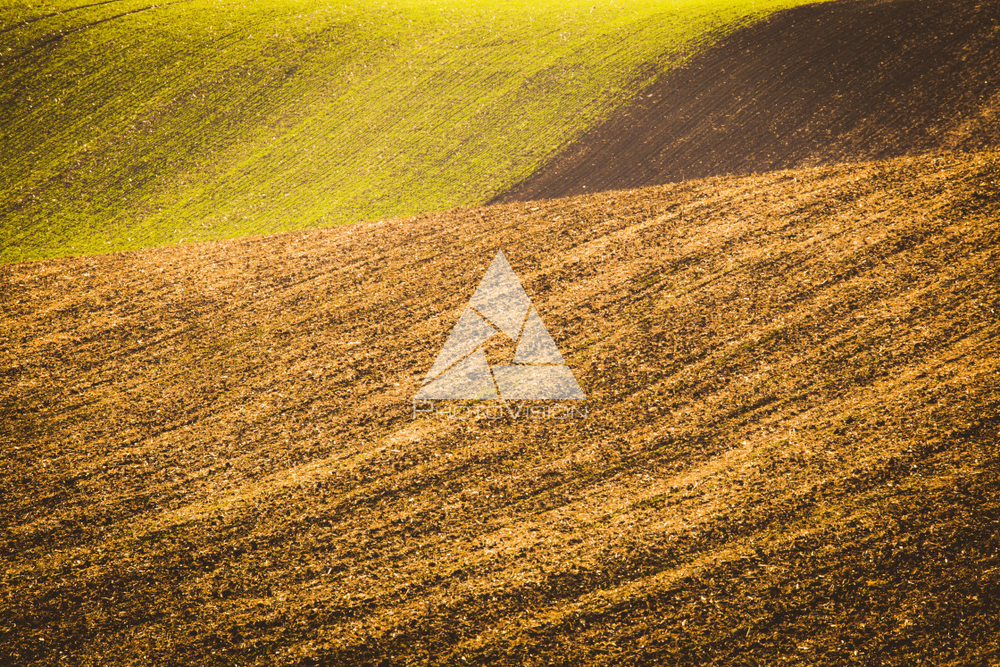 "Autumn wavy fields" stock image