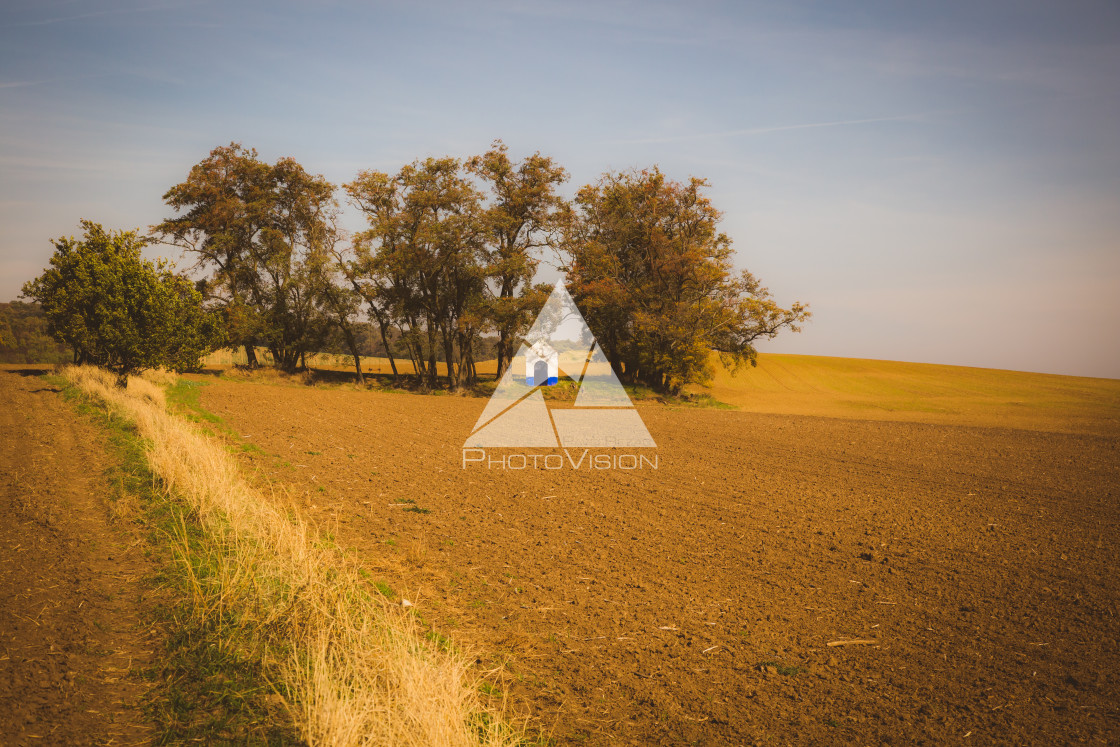 "Chapel of St. Barbora in field" stock image