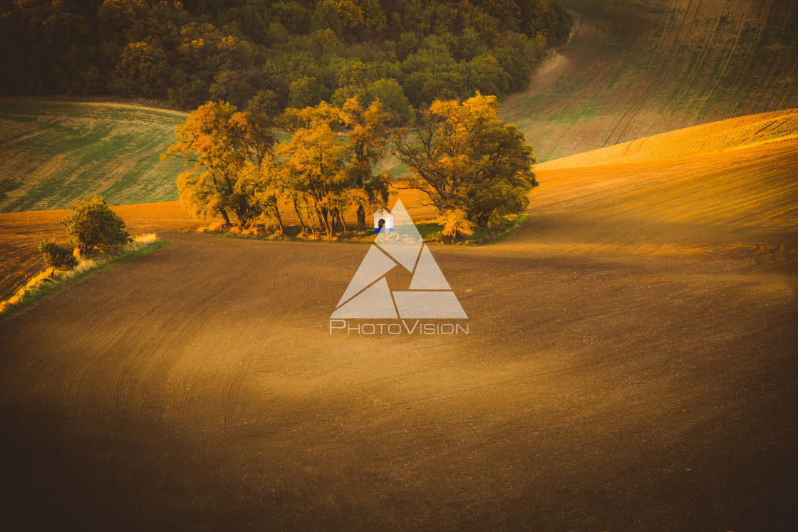 "Chapel of St. Barbora in field" stock image