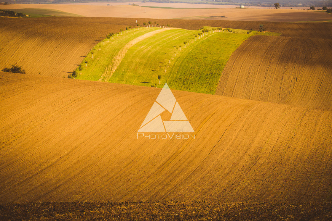 "Wavy autumn fields in Moravian Tuscany, Czech Republic" stock image