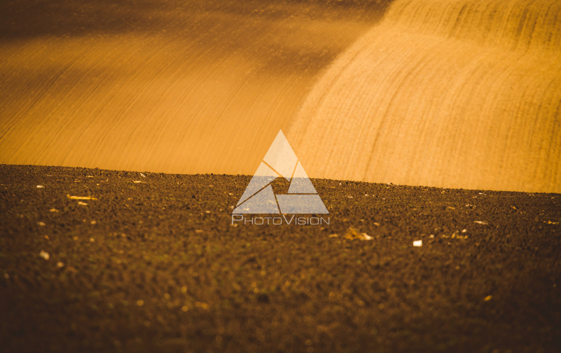 "Wavy autumn fields in Moravian Tuscany, Czech Republic" stock image