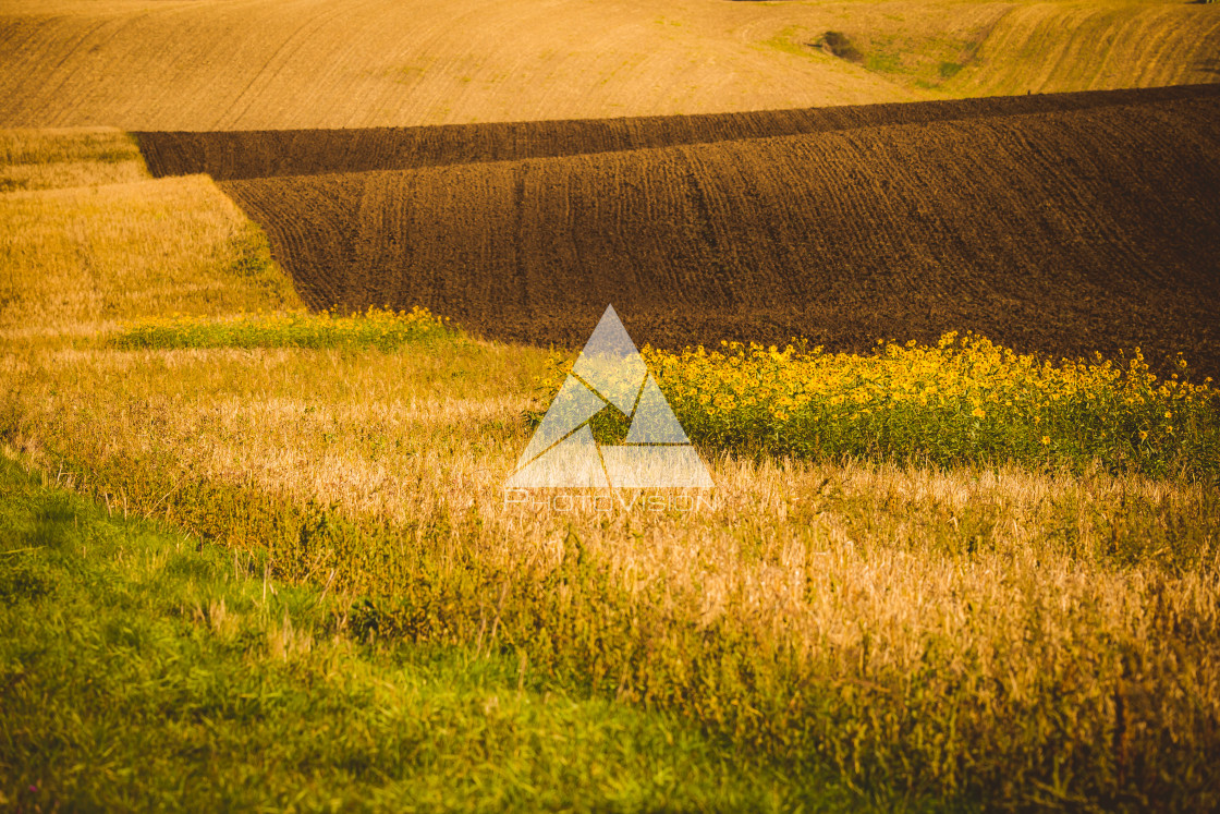 "Wavy autumn fields in Moravian Tuscany, Czech Republic" stock image