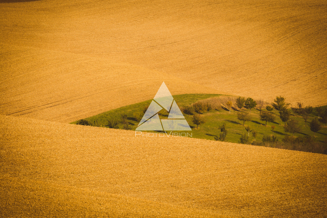 "Wavy autumn fields in Moravian Tuscany, Czech Republic" stock image