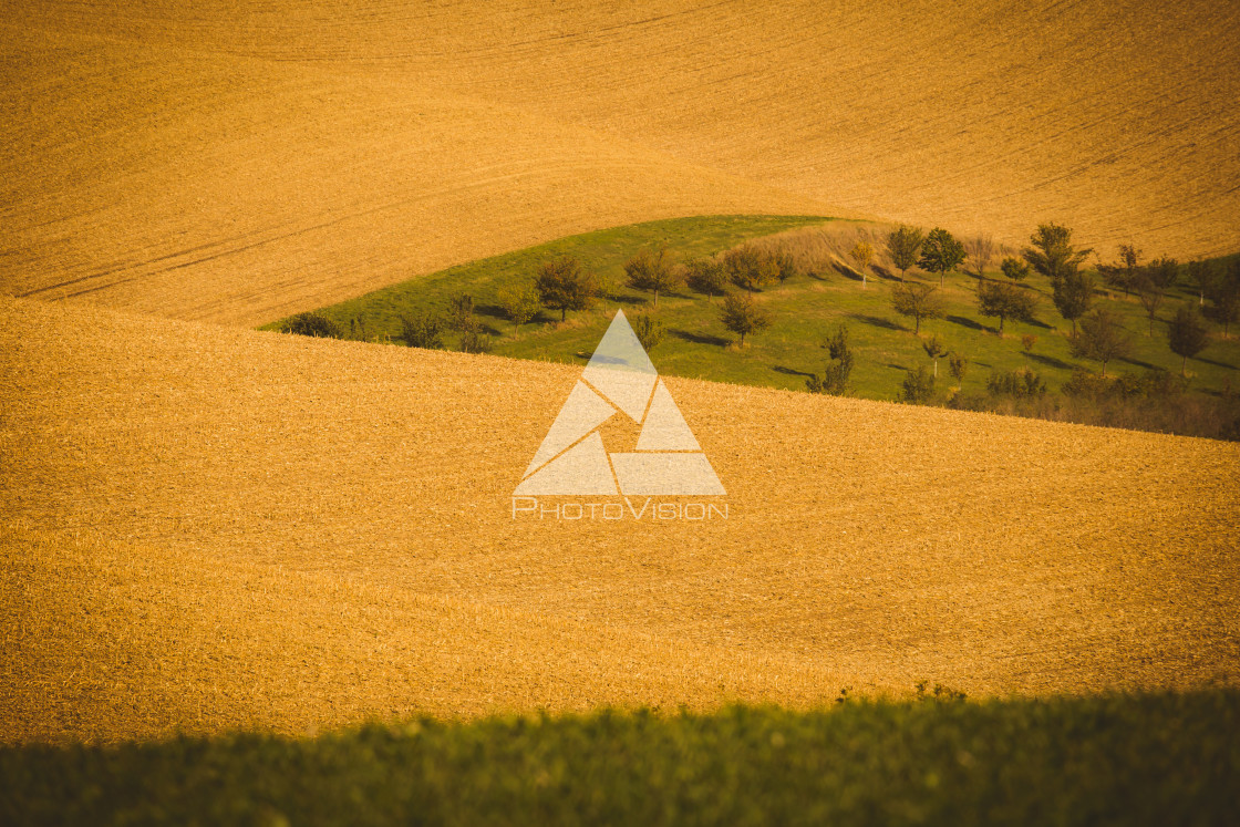 "Wavy autumn fields in Moravian Tuscany, Czech Republic" stock image