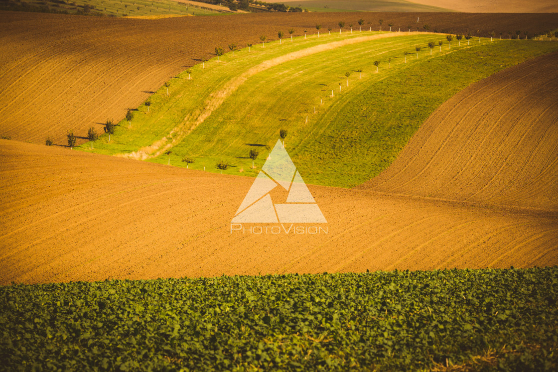 "Wavy autumn fields in Moravian Tuscany, Czech Republic" stock image