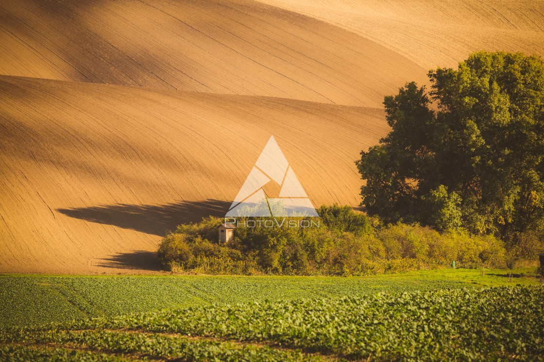 "Wavy autumn fields in Moravian Tuscany, Czech Republic" stock image