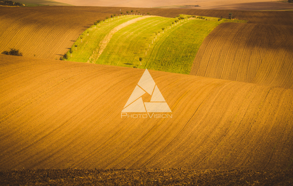 "Wavy autumn fields in Moravian Tuscany, Czech Republic" stock image