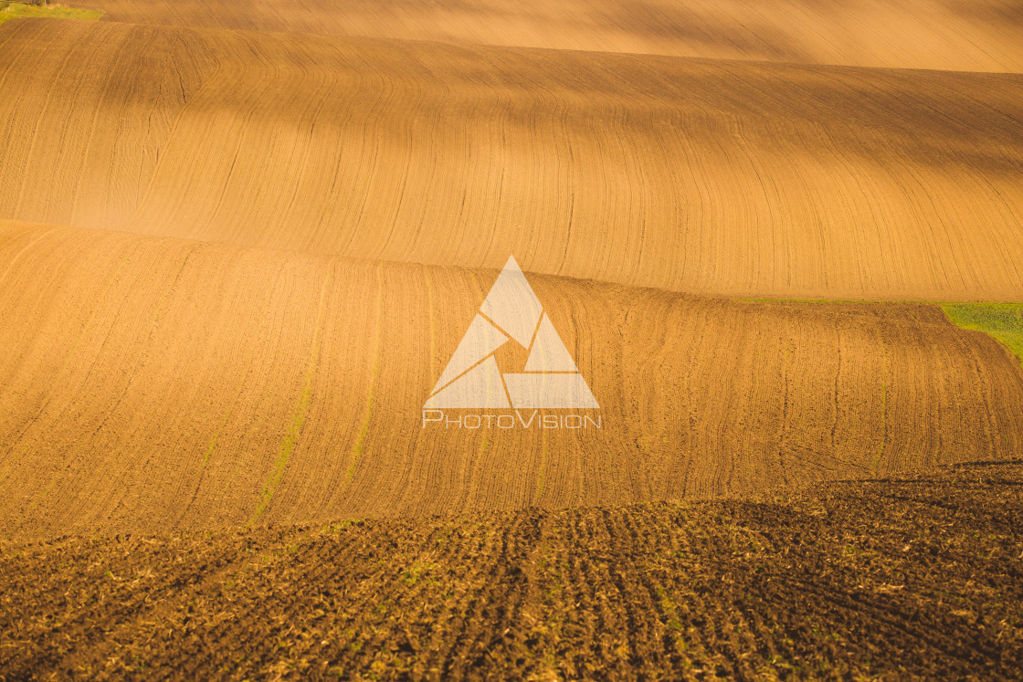 "Wavy autumn fields in Moravian Tuscany, Czech Republic" stock image