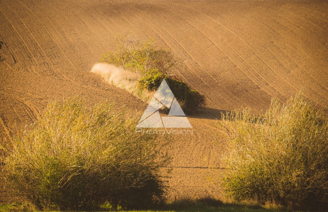 "Wavy autumn fields in Moravian Tuscany, Czech Republic" stock image