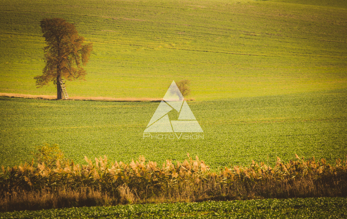 "Wavy autumn fields in Moravian Tuscany, Czech Republic" stock image