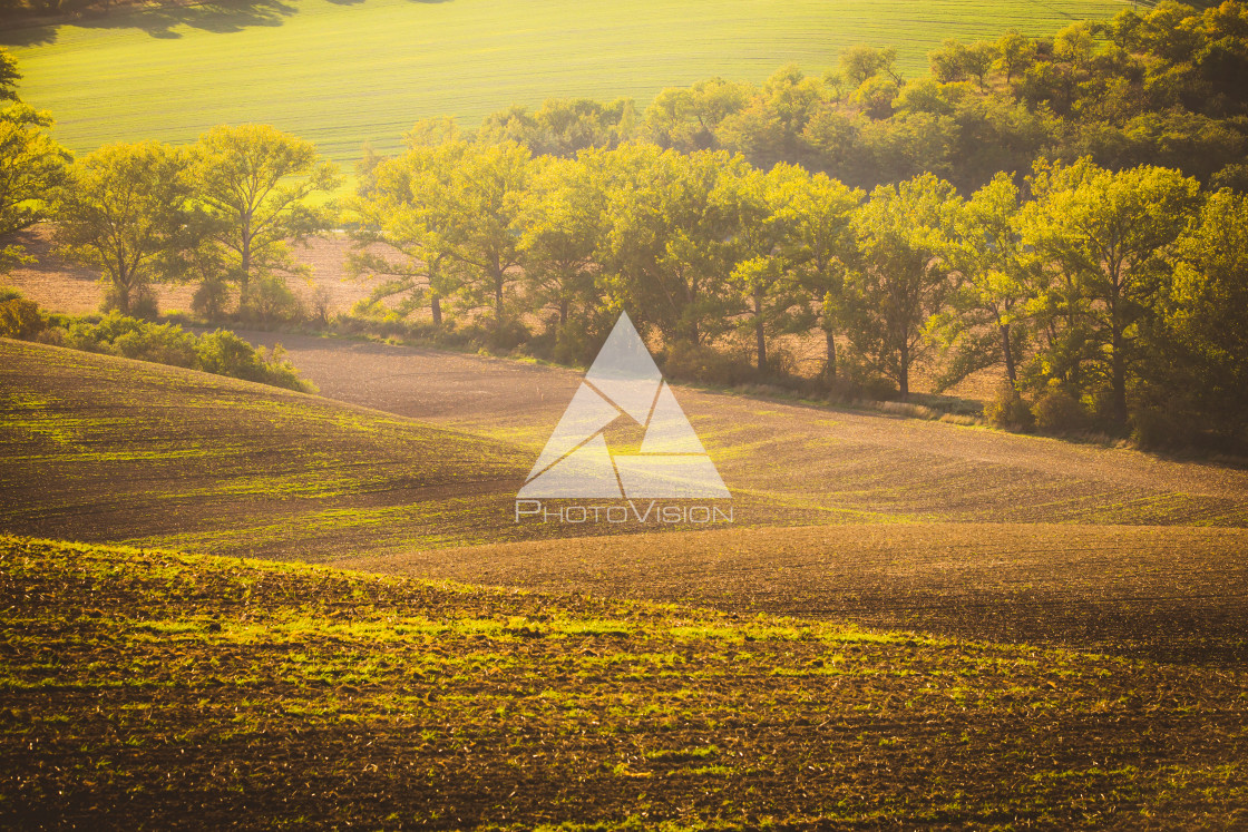 "Wavy autumn fields in Moravian Tuscany, Czech Republic" stock image