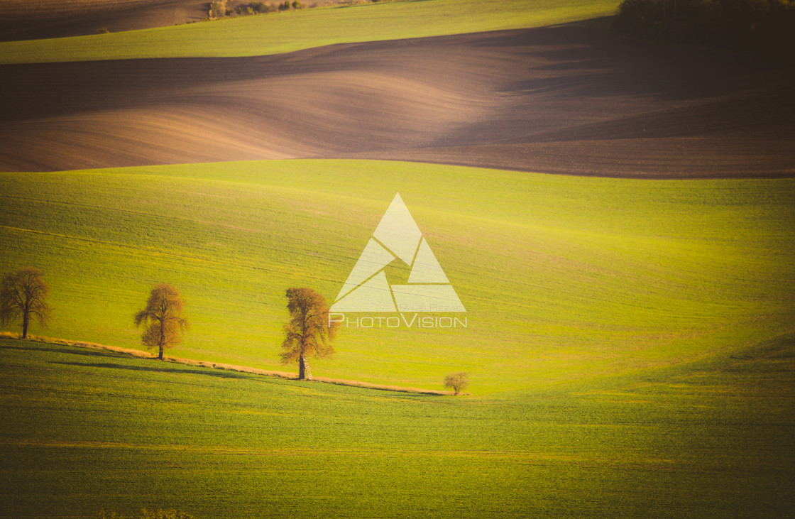 "Wavy autumn fields in Moravian Tuscany, Czech Republic" stock image