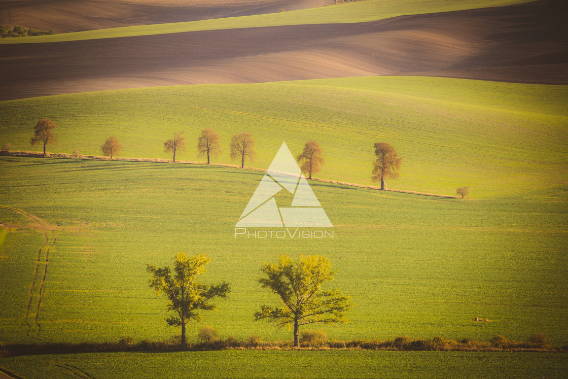 "Wavy autumn fields in Moravian Tuscany, Czech Republic" stock image