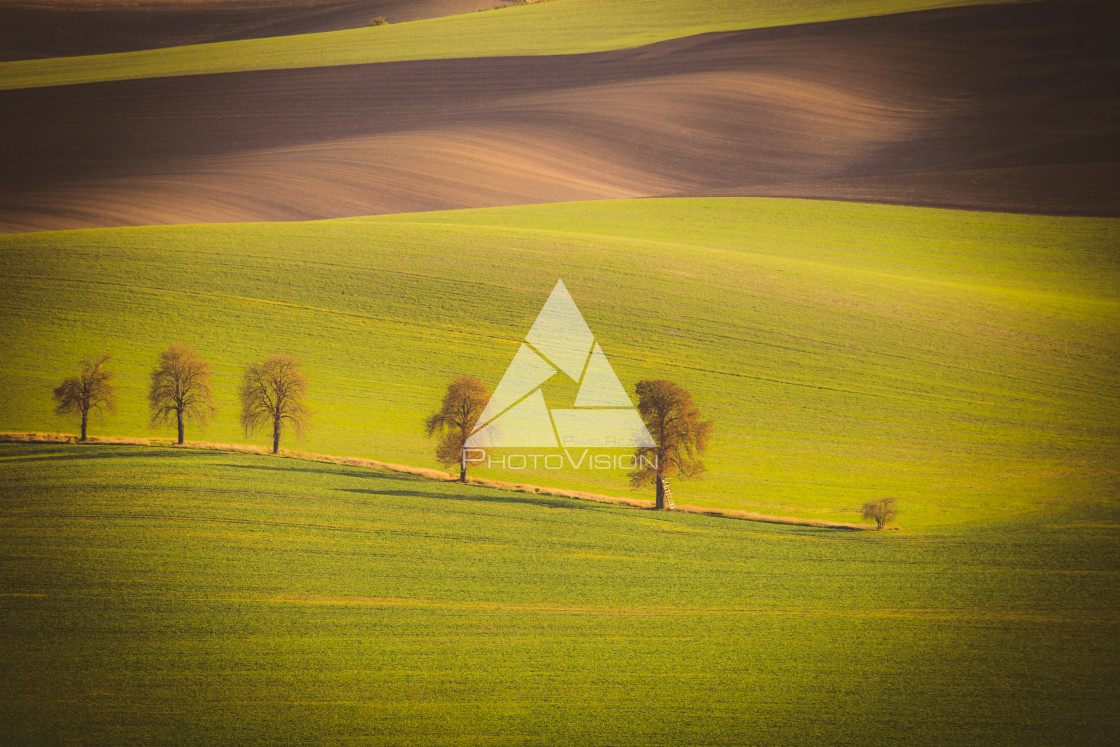 "Wavy autumn fields in Moravian Tuscany, Czech Republic" stock image