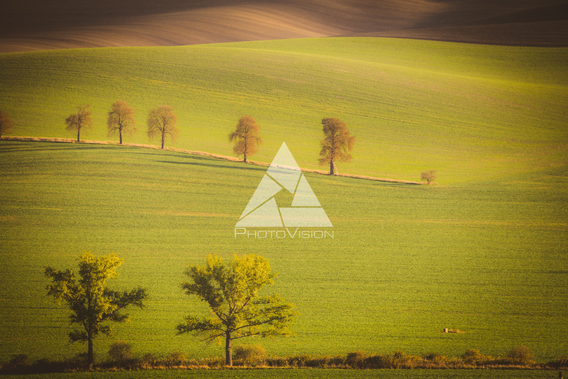 "Wavy autumn fields in Moravian Tuscany, Czech Republic" stock image