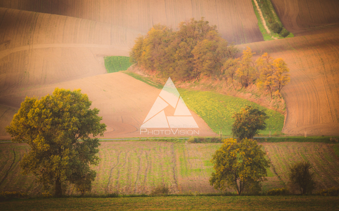 "Wavy autumn fields in Moravian Tuscany, Czech Republic" stock image