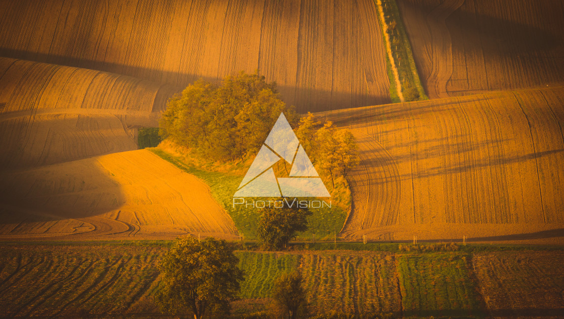 "Wavy autumn fields in Moravian Tuscany, Czech Republic" stock image