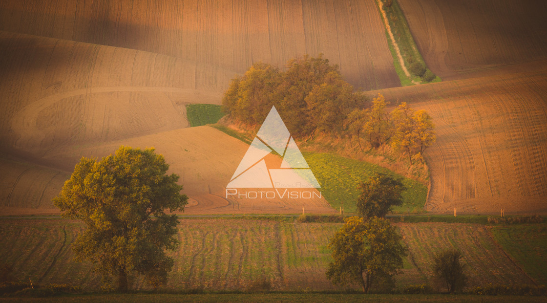 "Wavy autumn fields in Moravian Tuscany, Czech Republic" stock image