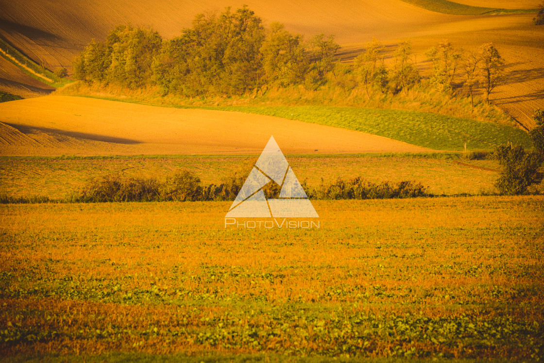 "Wavy autumn fields in Moravian Tuscany, Czech Republic" stock image