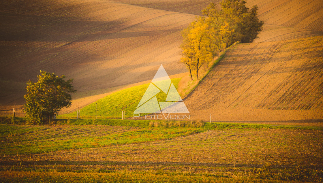 "Wavy autumn fields in Moravian Tuscany, Czech Republic" stock image