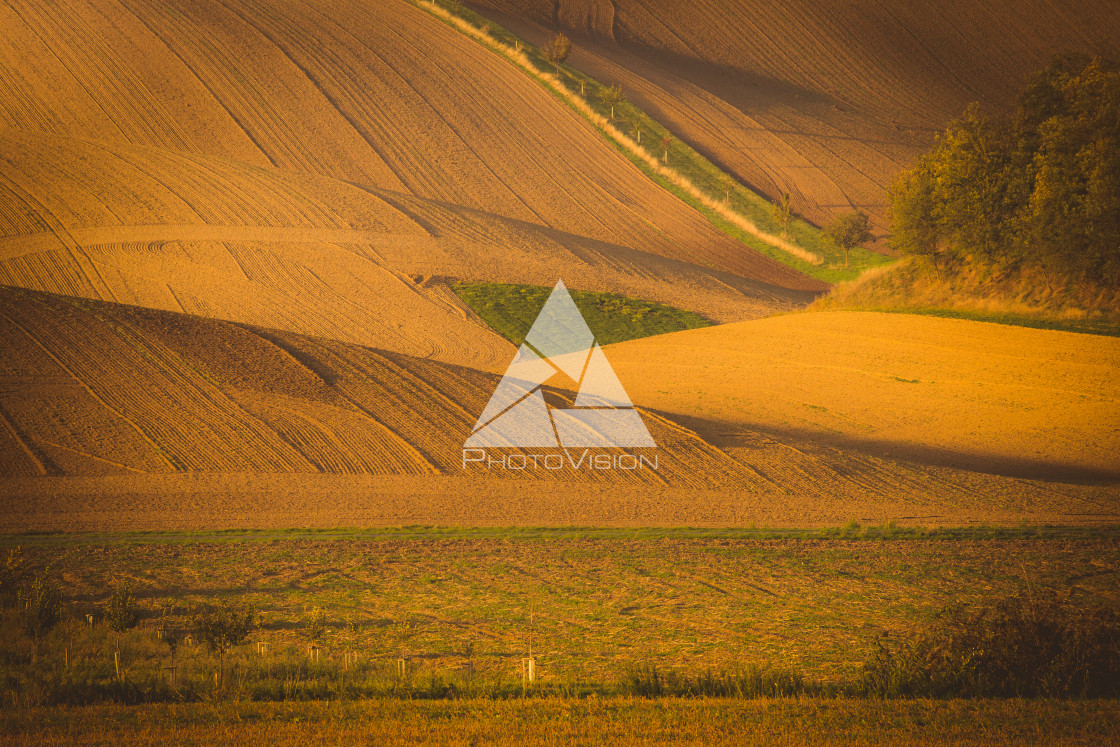 "Wavy autumn fields in Moravian Tuscany, Czech Republic" stock image