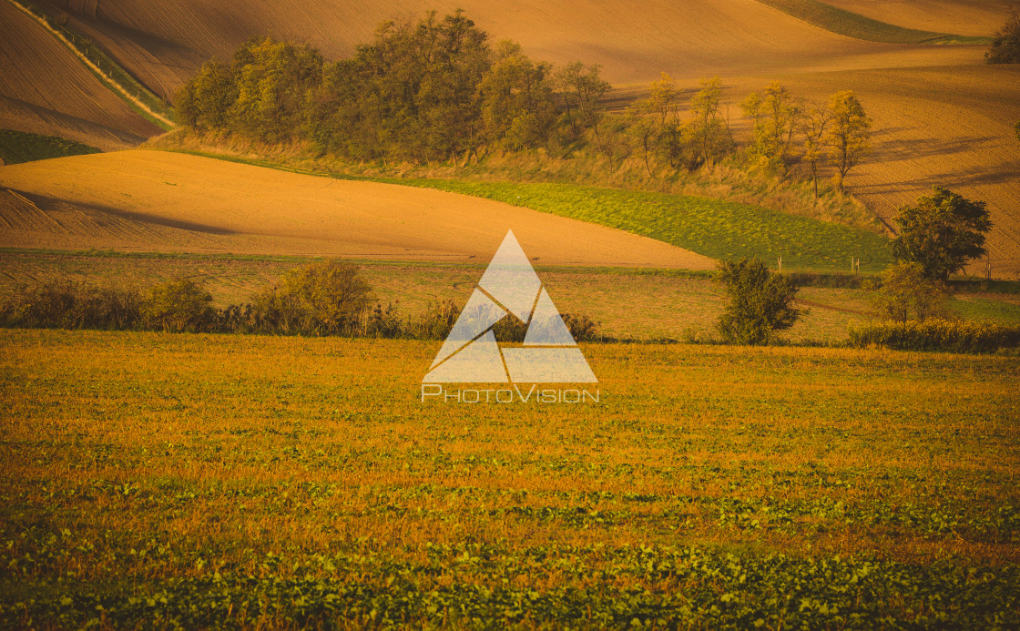 "Wavy autumn fields in Moravian Tuscany, Czech Republic" stock image