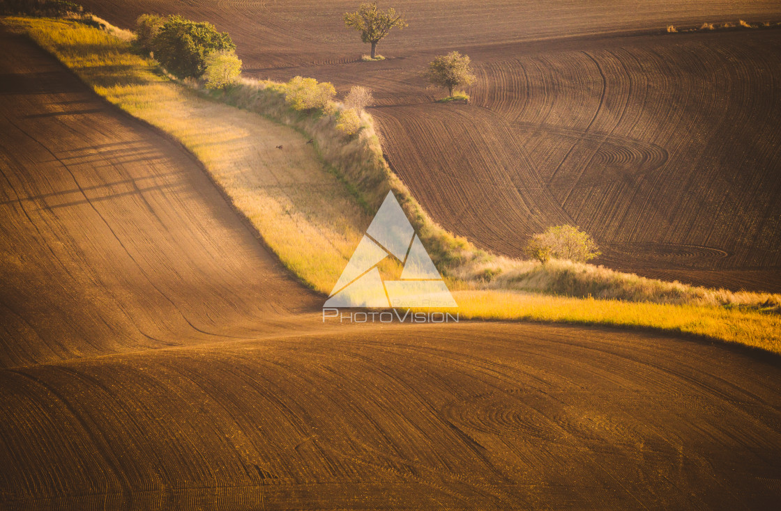 "Wavy autumn fields in Moravian Tuscany, Czech Republic" stock image