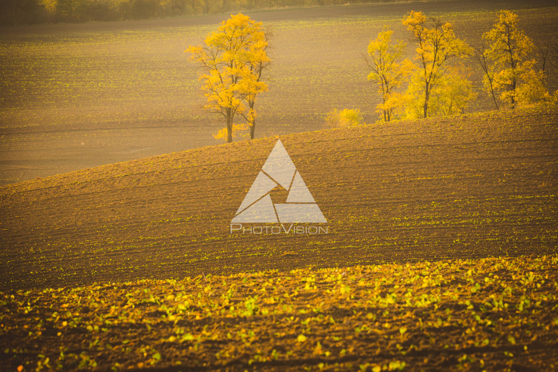 "Wavy autumn fields in Moravian Tuscany, Czech Republic" stock image