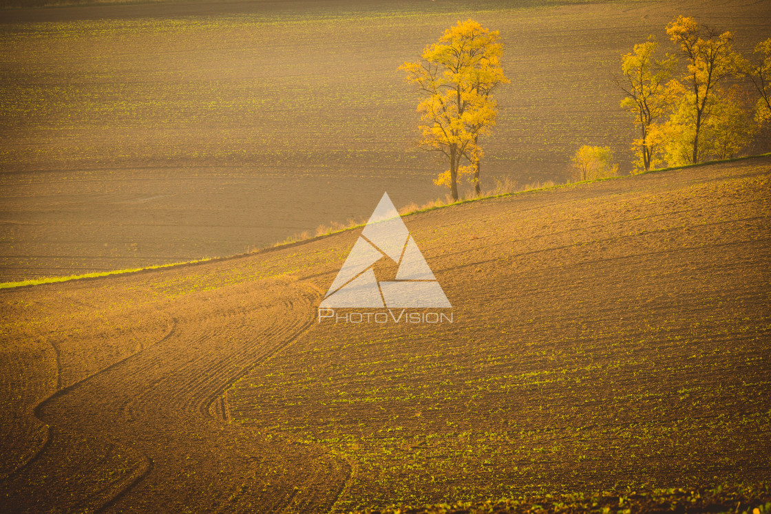 "Wavy autumn fields in Moravian Tuscany, Czech Republic" stock image