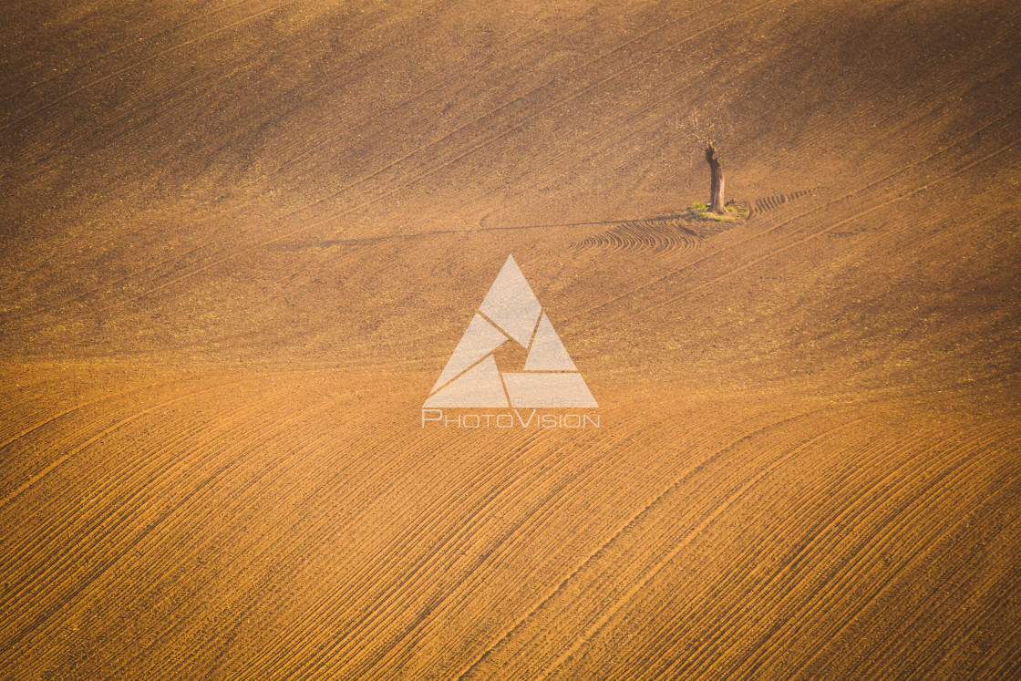 "Wavy autumn fields in Moravian Tuscany, Czech Republic" stock image