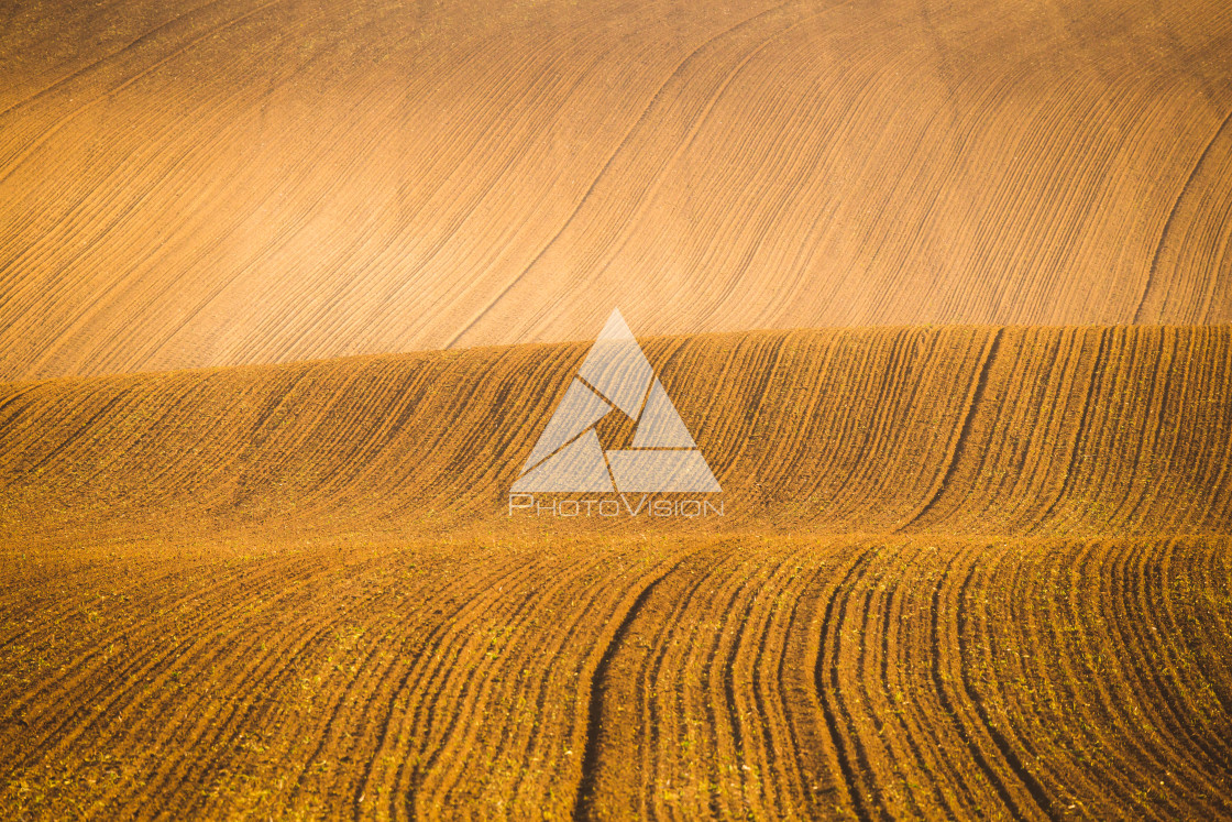 "Wavy autumn fields in Moravian Tuscany, Czech Republic" stock image