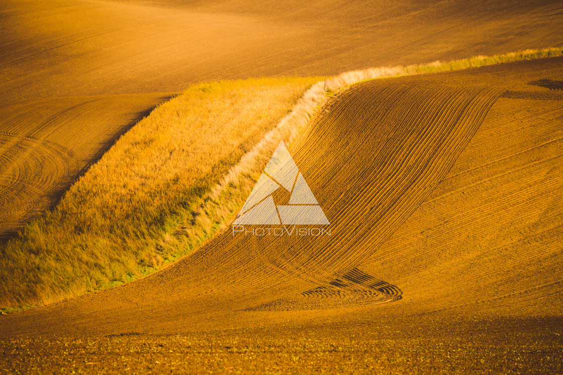 "Wavy autumn fields in Moravian Tuscany, Czech Republic" stock image