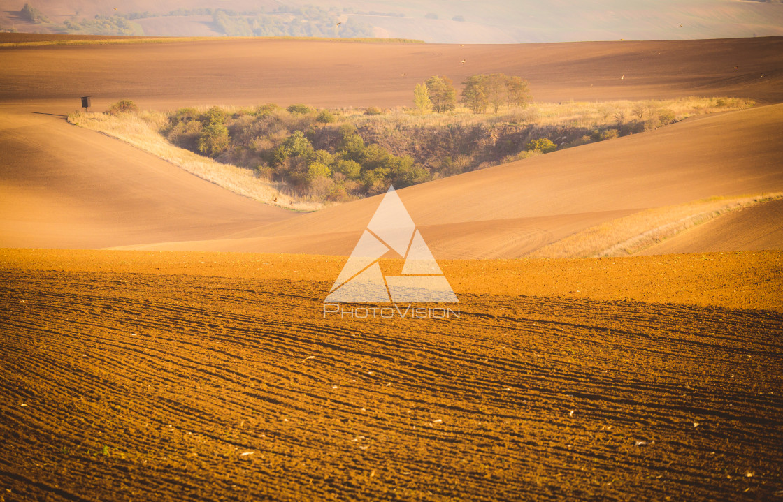 "Wavy autumn fields in Moravian Tuscany, Czech Republic" stock image