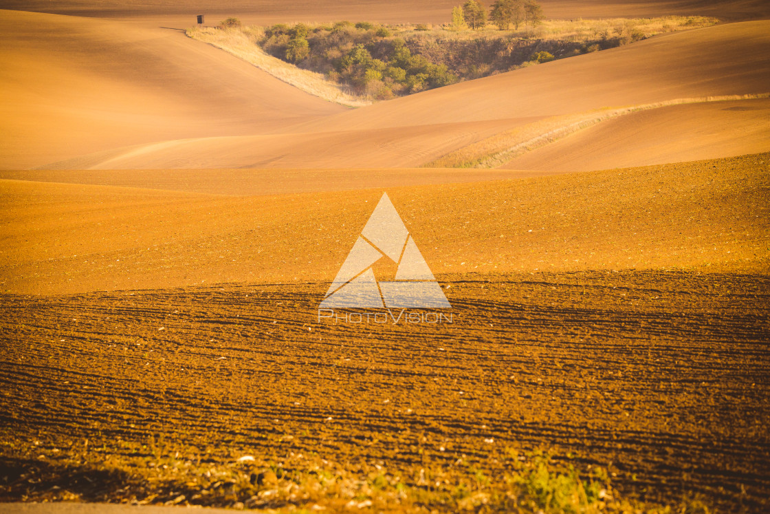 "Wavy autumn fields in Moravian Tuscany, Czech Republic" stock image