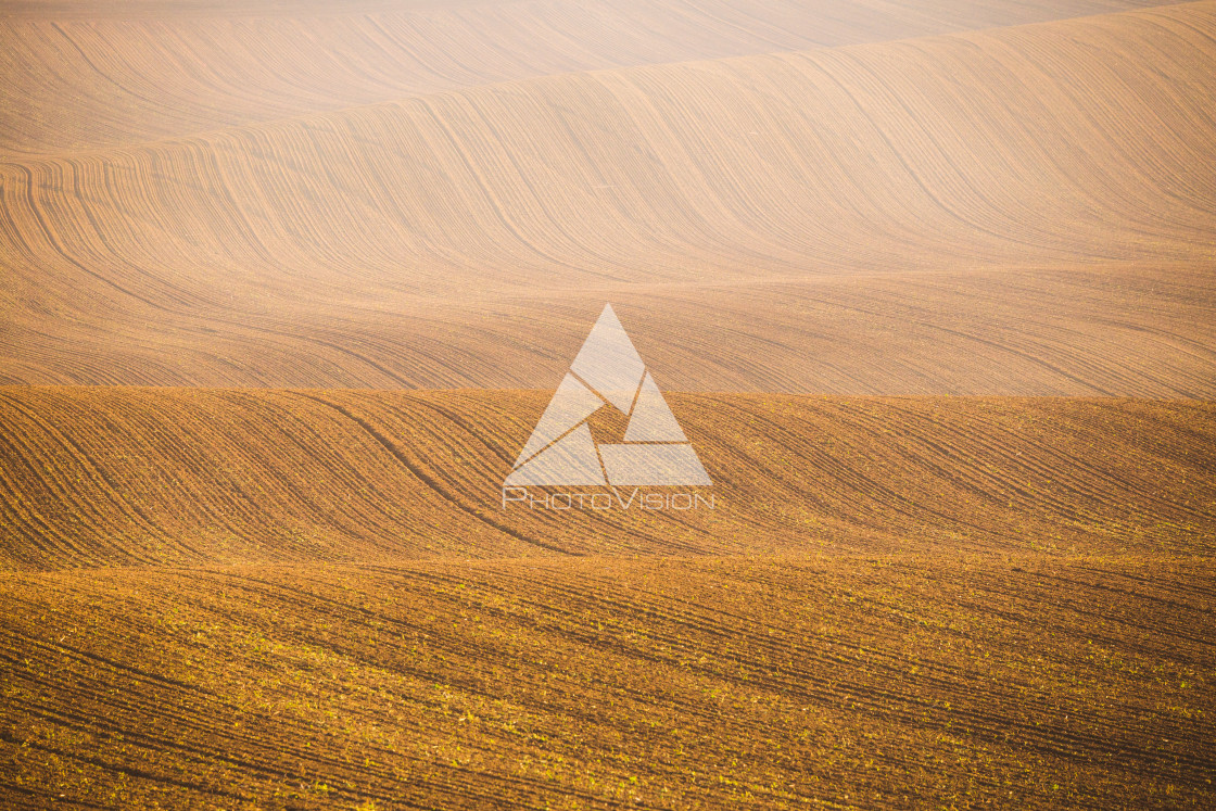 "Wavy autumn fields in Moravian Tuscany, Czech Republic" stock image