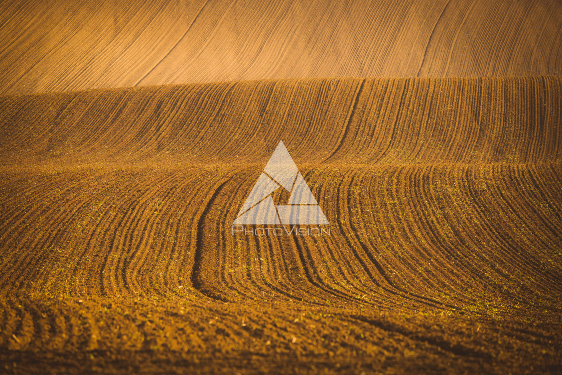 "Wavy autumn fields in Moravian Tuscany, Czech Republic" stock image