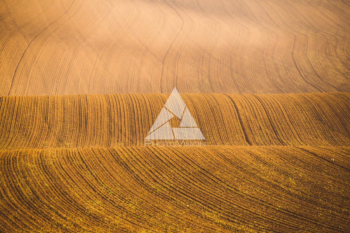 "Wavy autumn fields in Moravian Tuscany, Czech Republic" stock image