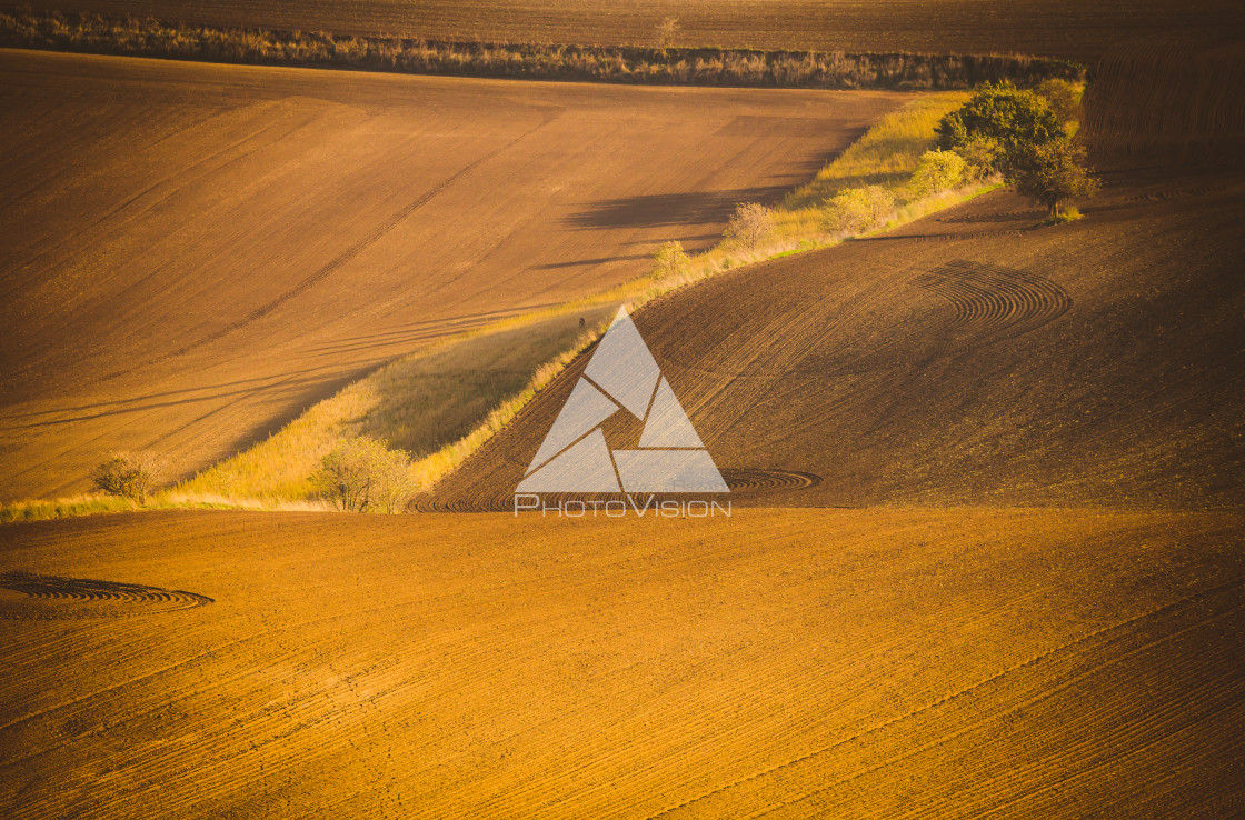 "Wavy autumn fields in Moravian Tuscany, Czech Republic" stock image