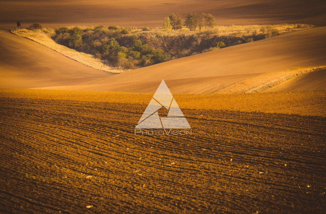 "Wavy autumn fields in Moravian Tuscany, Czech Republic" stock image