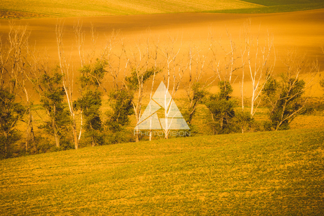 "Wavy autumn fields in Moravian Tuscany, Czech Republic" stock image