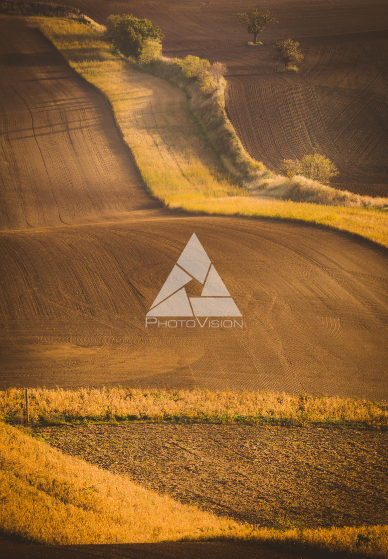 "Wavy autumn fields in Moravian Tuscany, Czech Republic" stock image