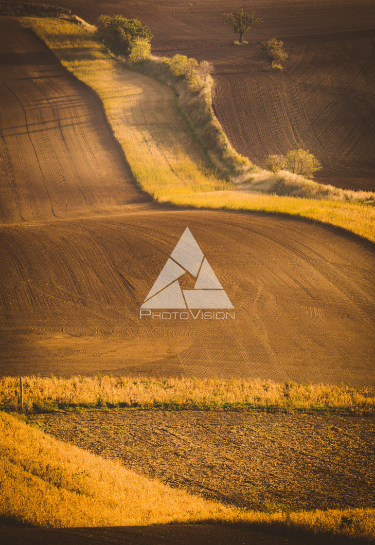 "Wavy autumn fields in Moravian Tuscany, Czech Republic" stock image