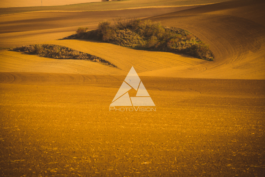 "Wavy autumn fields in Moravian Tuscany, Czech Republic" stock image