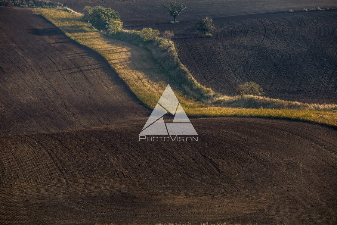 "Wavy autumn fields in Moravian Tuscany, Czech Republic" stock image