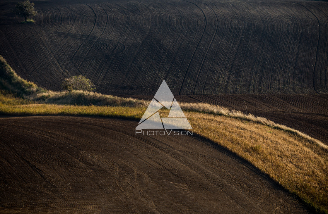 "Wavy autumn fields in Moravian Tuscany, Czech Republic" stock image