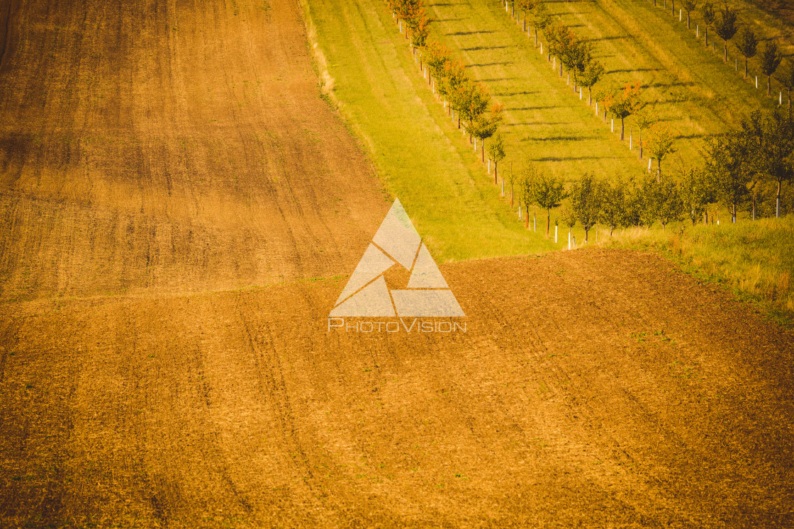 "Wavy autumn fields in Moravian Tuscany, Czech Republic" stock image