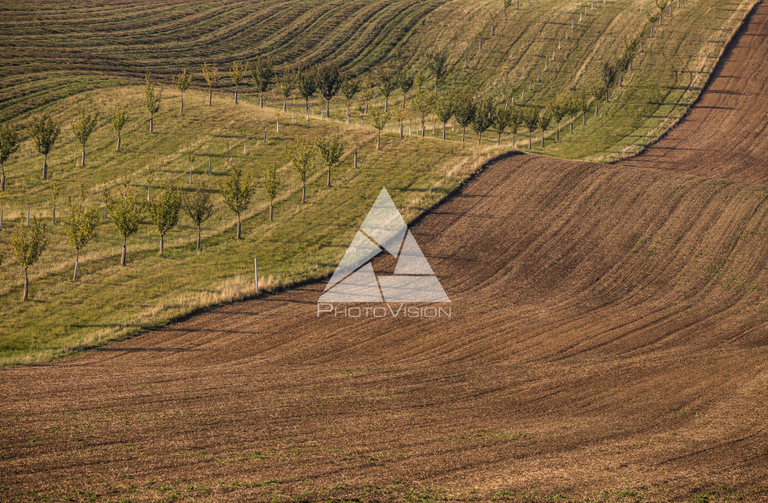 "Wavy autumn fields in Moravian Tuscany, Czech Republic" stock image