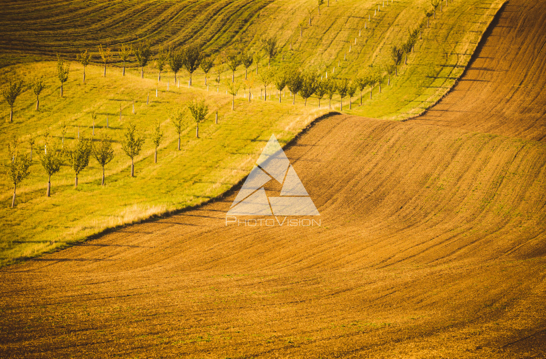 "Wavy autumn fields in Moravian Tuscany, Czech Republic" stock image